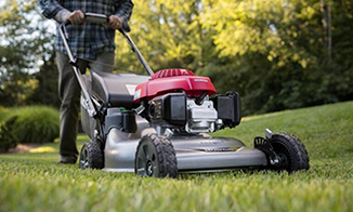 Lawn Care and Mowing